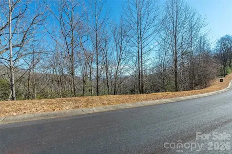 99999 Mills River Way Horse Shoe NC 28742