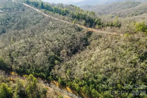 99999 Mills River Way Horse Shoe NC 28742
