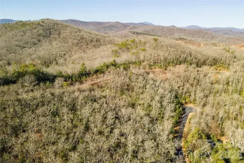 99999 Mills River Way Horse Shoe NC 28742