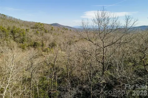 99999 Mills River Way Horse Shoe NC 28742
