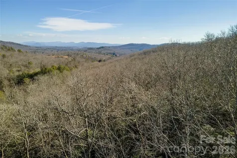 99999 Mills River Way Horse Shoe NC 28742