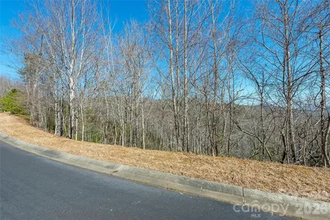 99999 Mills River Way Horse Shoe NC 28742