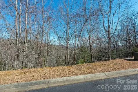 99999 Mills River Way Horse Shoe NC 28742