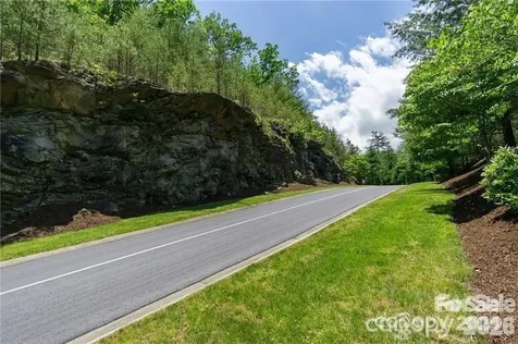 99999 Mills River Way Horse Shoe NC 28742