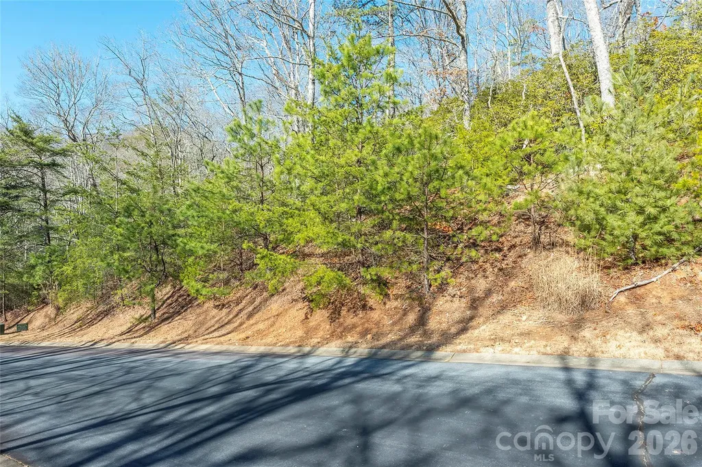 99999 Caddis Lane Horse Shoe NC 28742