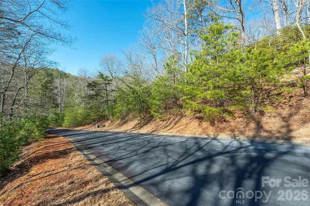99999 Caddis Lane Horse Shoe NC 28742