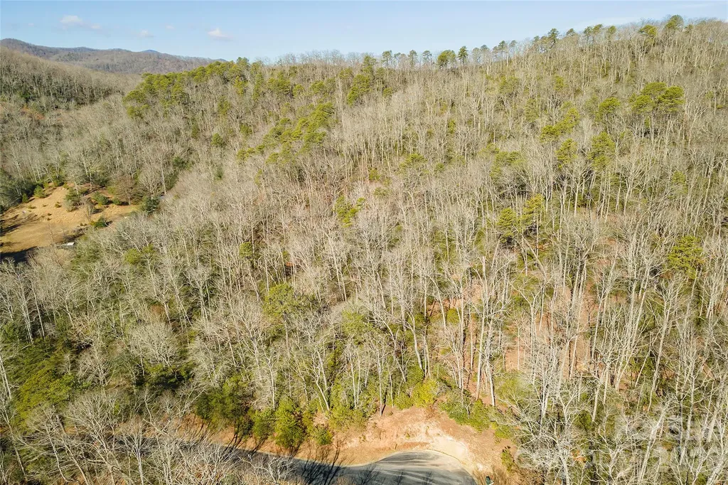 99999 Caddis Lane Horse Shoe NC 28742