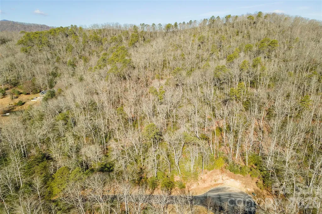 99999 Caddis Lane Horse Shoe NC 28742