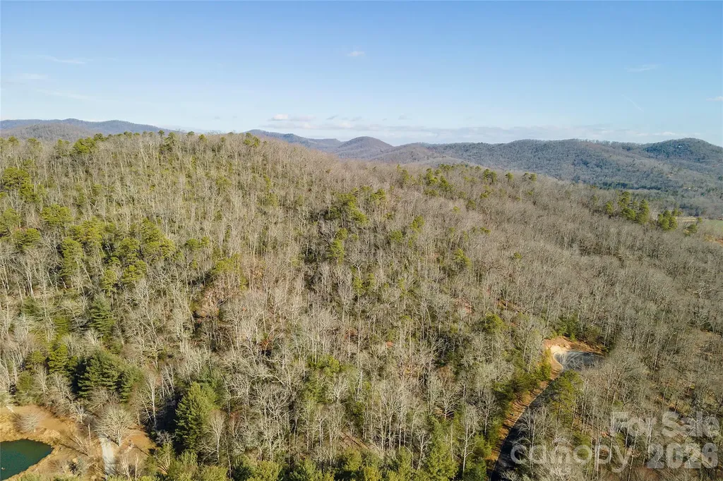 99999 Caddis Lane Horse Shoe NC 28742