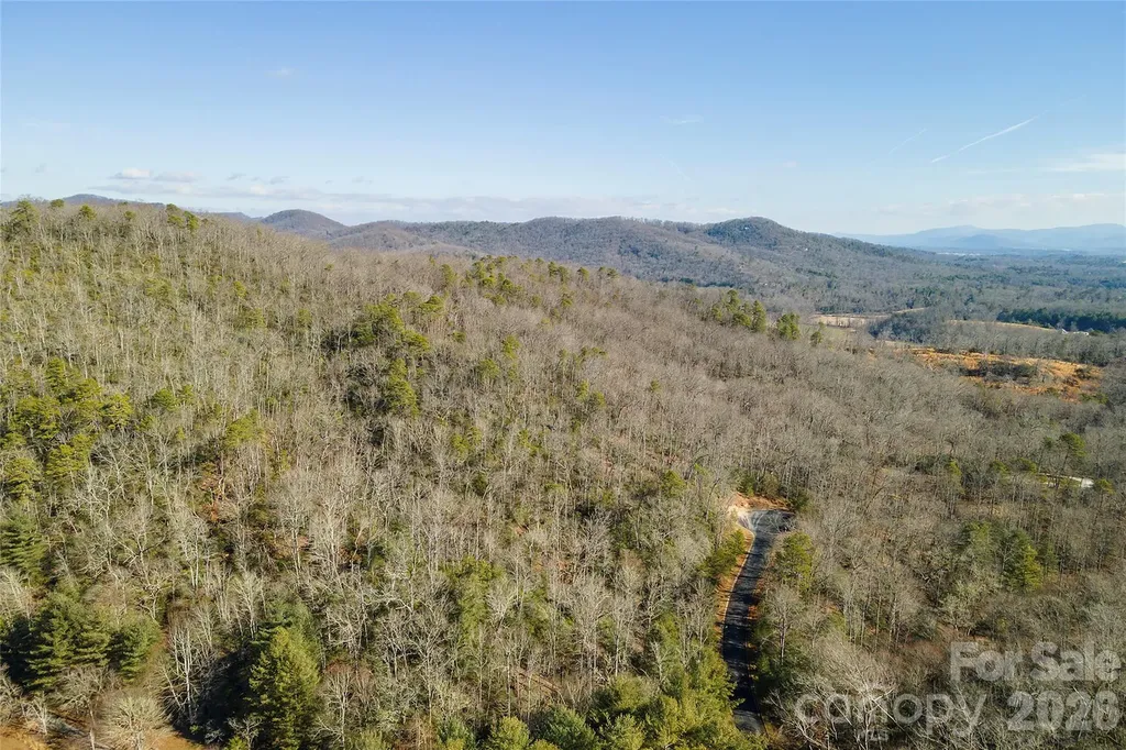 99999 Caddis Lane Horse Shoe NC 28742