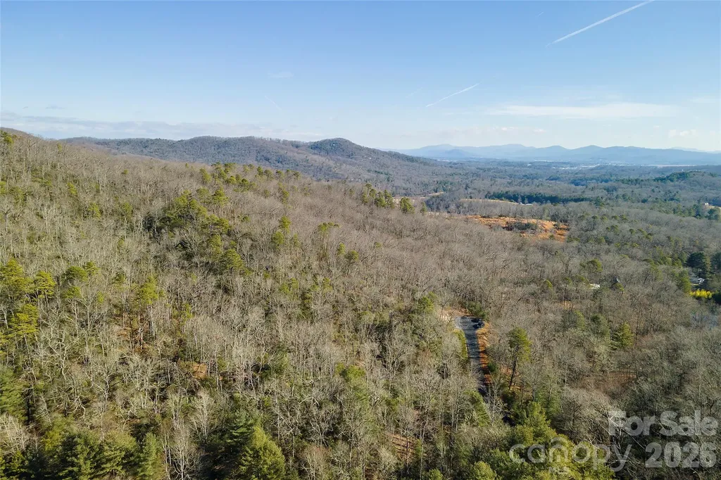 99999 Caddis Lane Horse Shoe NC 28742