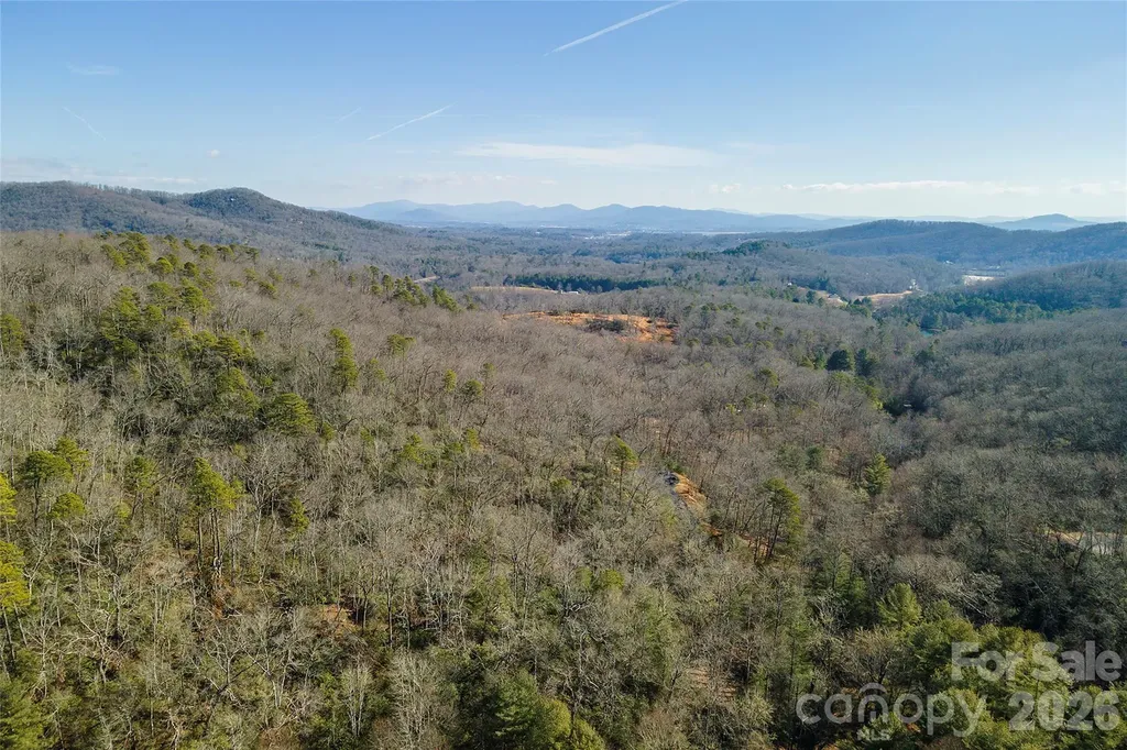 99999 Caddis Lane Horse Shoe NC 28742