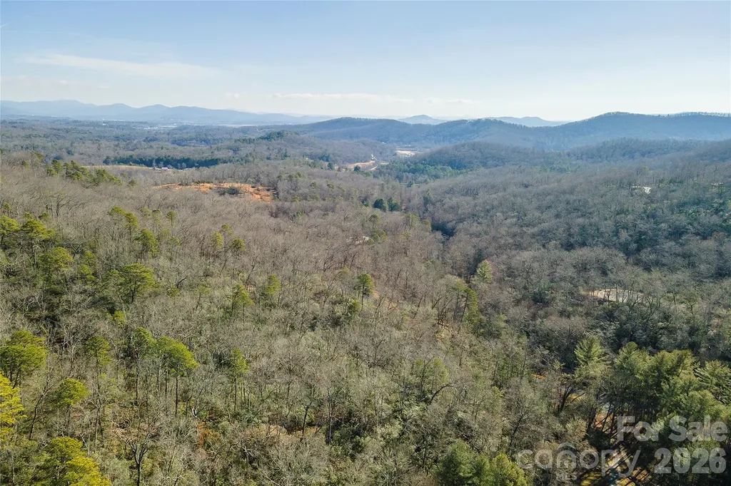 99999 Caddis Lane Horse Shoe NC 28742