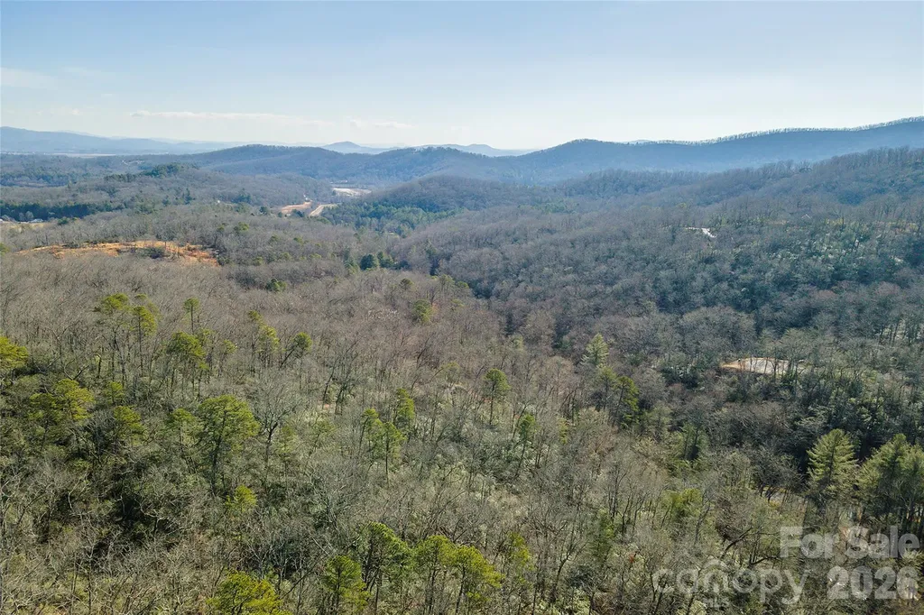 99999 Caddis Lane Horse Shoe NC 28742