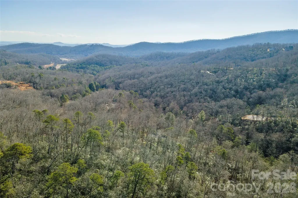 99999 Caddis Lane Horse Shoe NC 28742