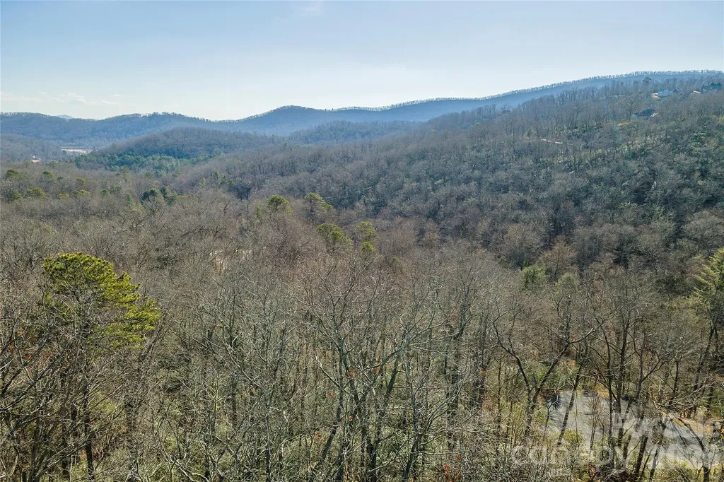 99999 Caddis Lane Horse Shoe NC 28742
