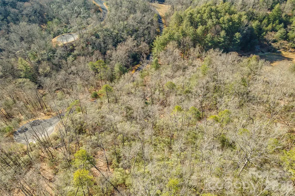 99999 Caddis Lane Horse Shoe NC 28742