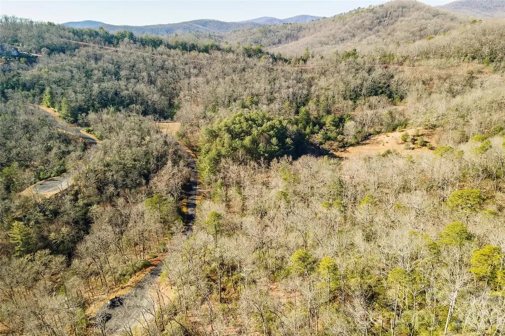 99999 Caddis Lane Horse Shoe NC 28742