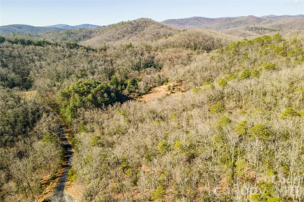 99999 Caddis Lane Horse Shoe NC 28742