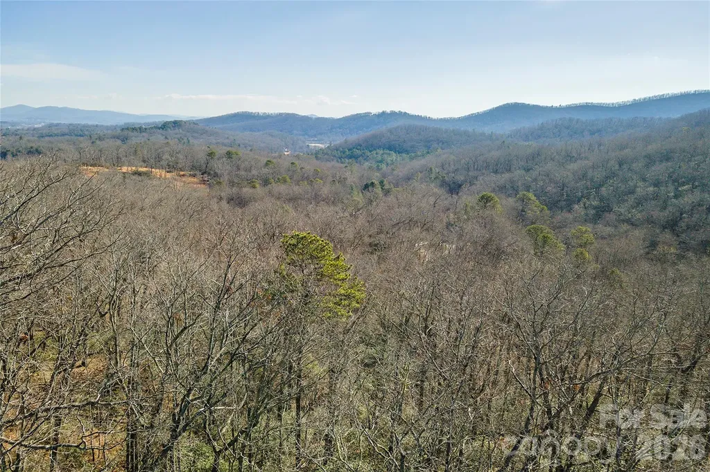 99999 Caddis Lane Horse Shoe NC 28742