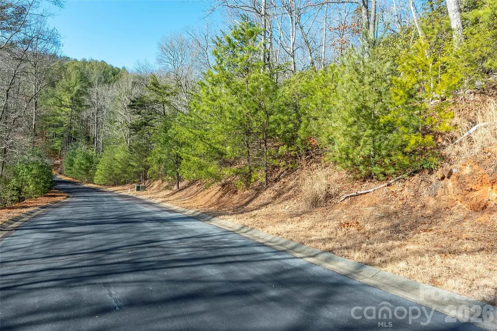 99999 Caddis Lane Horse Shoe NC 28742