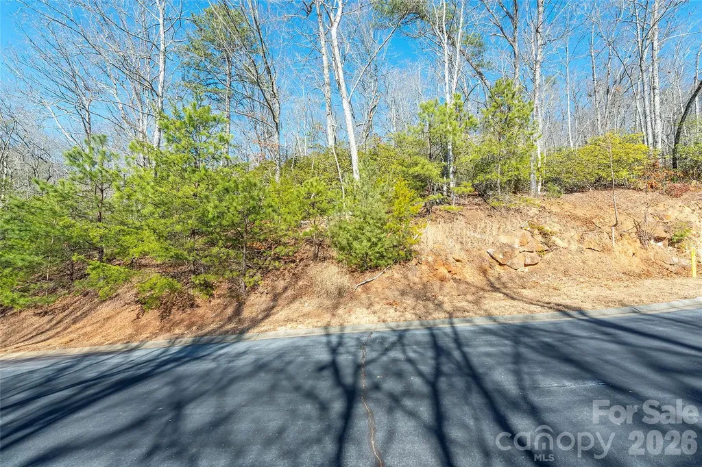 99999 Caddis Lane Horse Shoe NC 28742