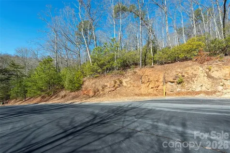 99999 Caddis Lane Horse Shoe NC 28742