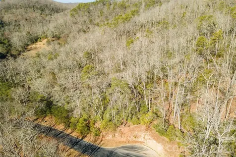 99999 Caddis Lane Horse Shoe NC 28742