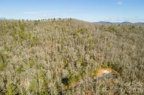 99999 Caddis Lane Horse Shoe NC 28742