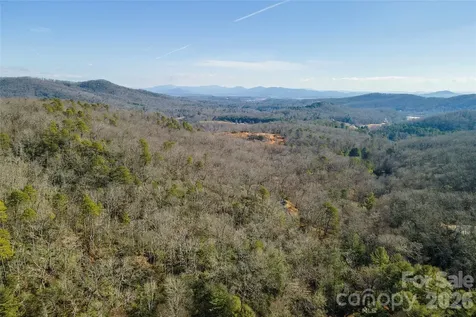 99999 Caddis Lane Horse Shoe NC 28742