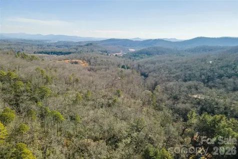 99999 Caddis Lane Horse Shoe NC 28742