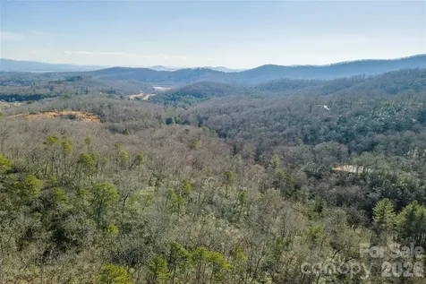 99999 Caddis Lane Horse Shoe NC 28742