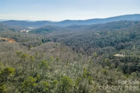 99999 Caddis Lane Horse Shoe NC 28742
