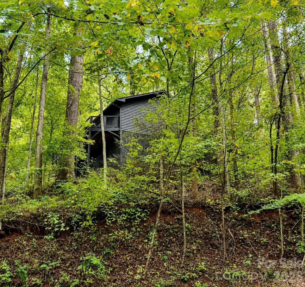 721 Bear Creek Lane Saluda NC 28773