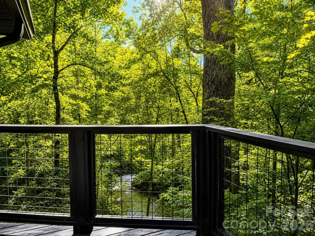 721 Bear Creek Lane Saluda NC 28773
