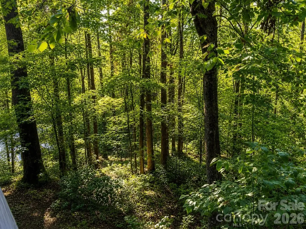 721 Bear Creek Lane Saluda NC 28773