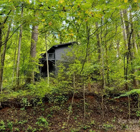 721 Bear Creek Lane Saluda NC 28773