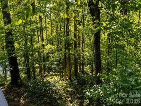 721 Bear Creek Lane Saluda NC 28773