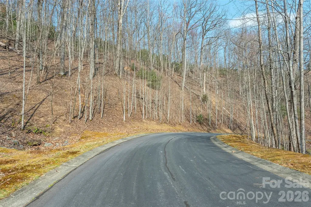 Lot 11 Shining Rock Path Horse Shoe NC 28742