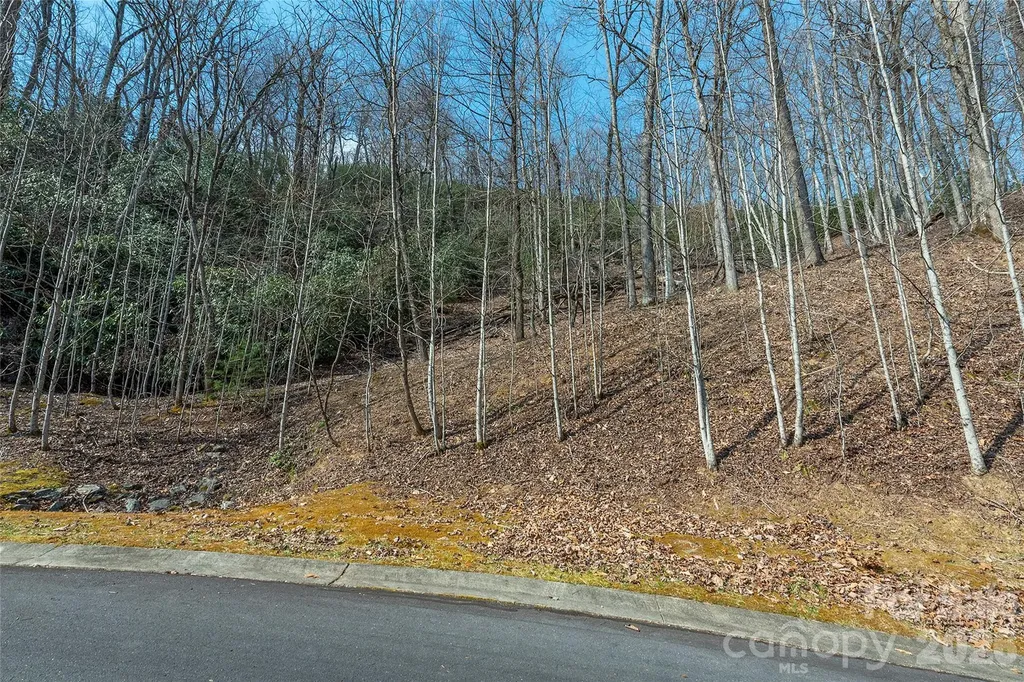 Lot 11 Shining Rock Path Horse Shoe NC 28742