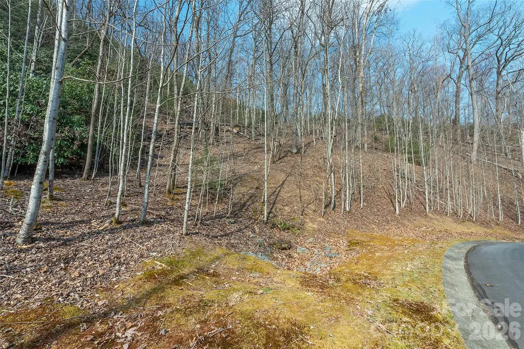 Lot 11 Shining Rock Path Horse Shoe NC 28742