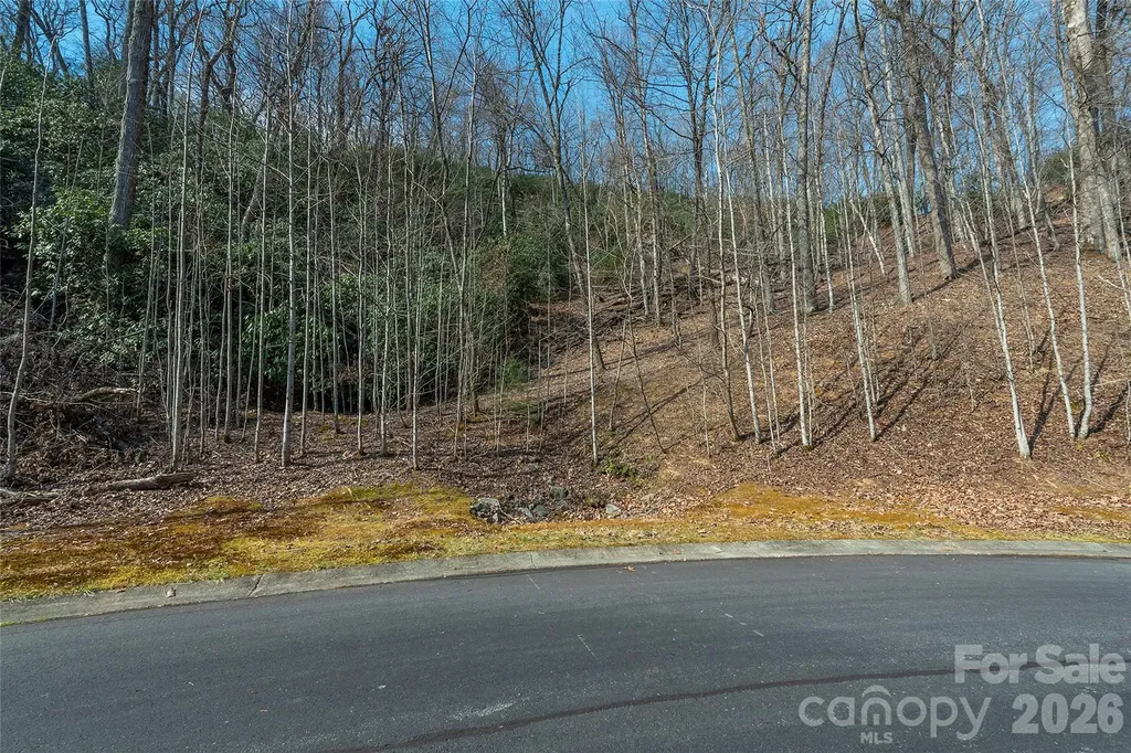 Lot 11 Shining Rock Path Horse Shoe NC 28742
