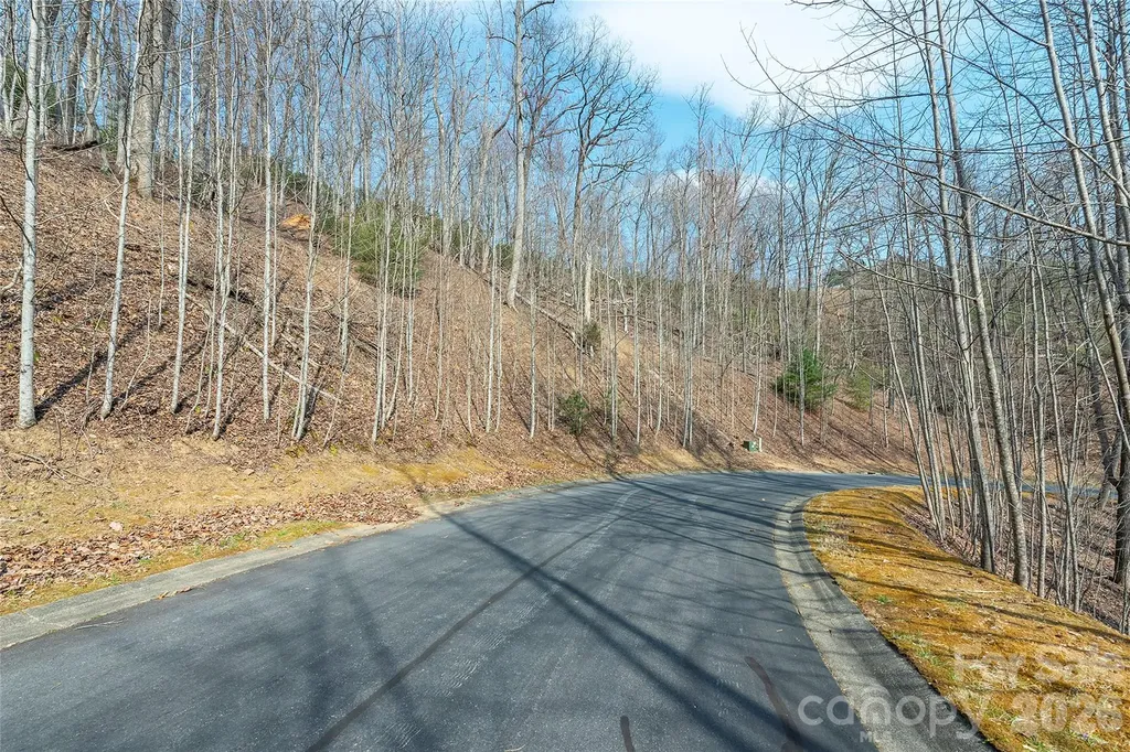 Lot 11 Shining Rock Path Horse Shoe NC 28742