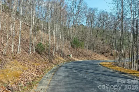 Lot 11 Shining Rock Path Horse Shoe NC 28742