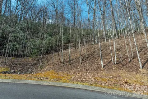 Lot 11 Shining Rock Path Horse Shoe NC 28742