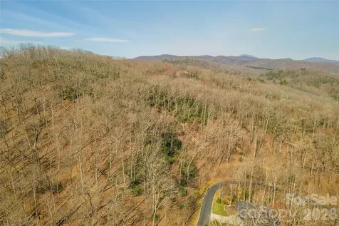 Lot 11 Shining Rock Path Horse Shoe NC 28742