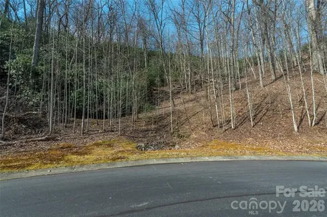 Lot 11 Shining Rock Path Horse Shoe NC 28742