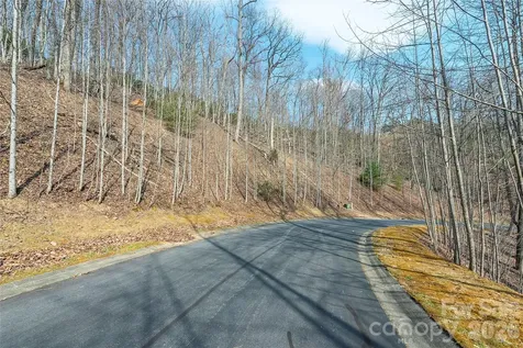 Lot 11 Shining Rock Path Horse Shoe NC 28742