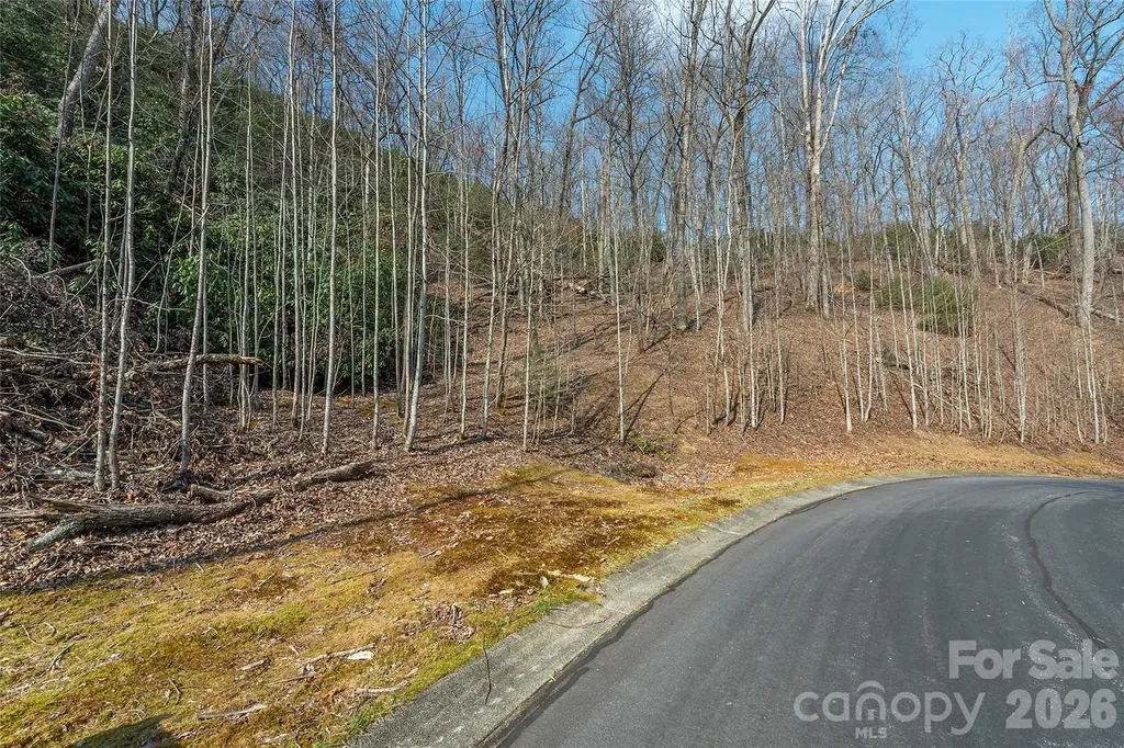 Lot 12 Shining Rock Path Horse Shoe NC 28742