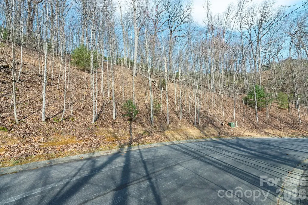 Lot 12 Shining Rock Path Horse Shoe NC 28742